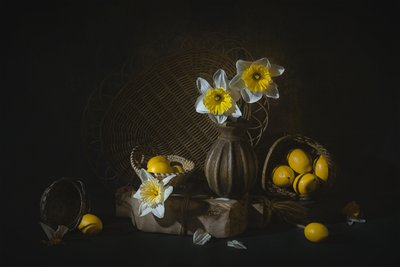 Forårspåskeliljer og citroner af Lydia Jacobs