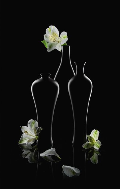Hvide blomster, mørke vaser af Lydia Jacobs