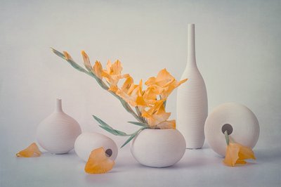 Gule blomster og hvide vaser af Lydia Jacobs