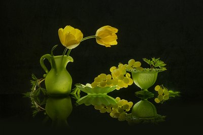 Gule tulipaner, grønne druer af Lydia Jacobs
