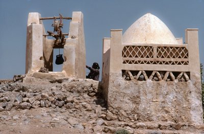 I ørkenen, et oasevandingssted med en brønd ved Husn Al-Muttahar syd for Tarin, Yemen. af Lynn Abercrombie