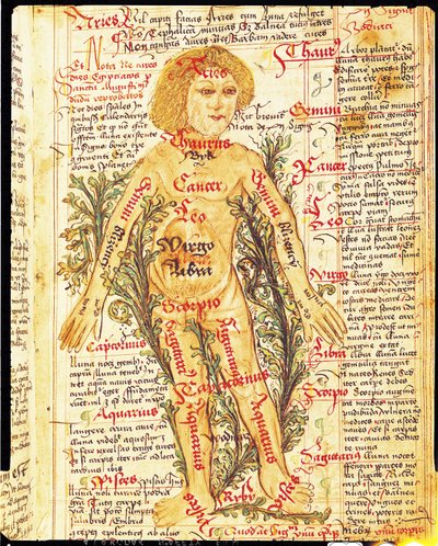 Stjernernes indflydelse på sygdomme i menneskekroppen, fra Tractatus de Pestilencia af M, Albik