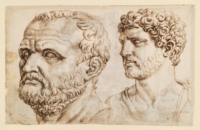 To hoveder af antikke statuer af Maarten van Heemskerck