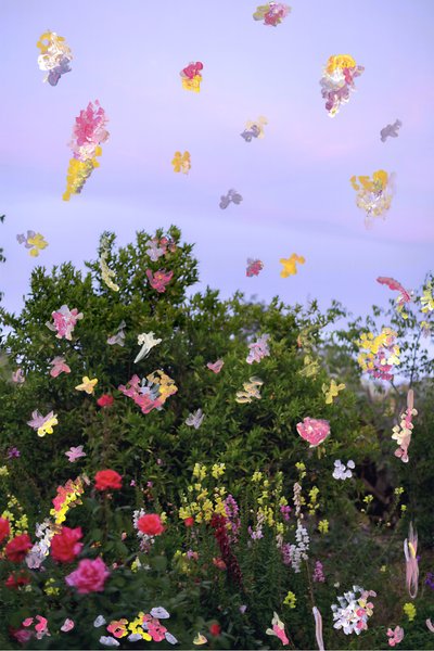 Abstraherede blomster, 2019 (akrylmaling på arkivbestandigt pigmentprint) af Madeleine Gross