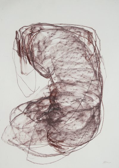 Torso 5, 2022 (kul på papir) af Madgalena Morey