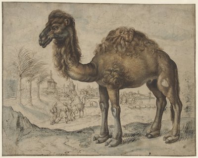 Dromedar i et østligt landskab med en by af Maerten de Vos