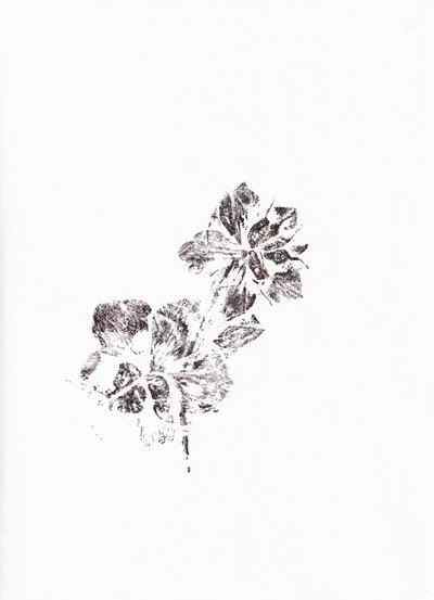 Abstrakte blomsteraftryk af Maira Ribena