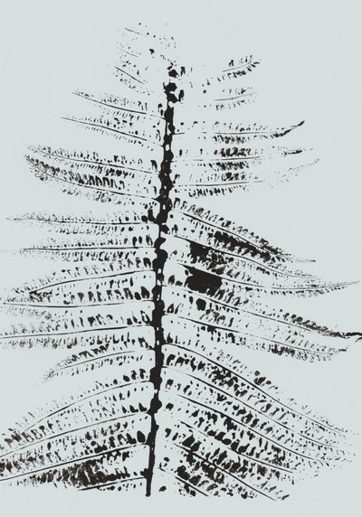 Black Ink Fern af Maira Ribena