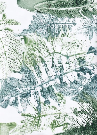 Botaniske indtryk af bregner af Maira Ribena