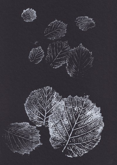 Botaniske bladmønstre af Maira Ribena