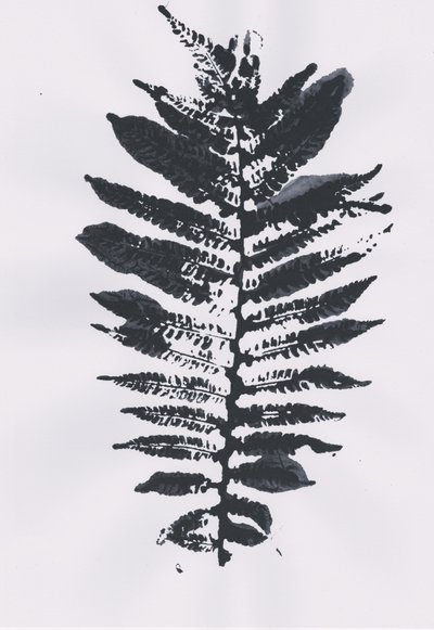 Elegant Fern Leaf af Maira Ribena