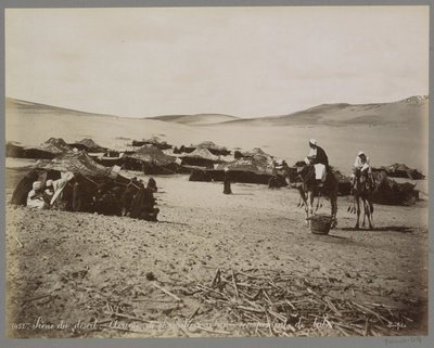 Lejr med telte og kameler i (formodentlig) Egyptens ørken Scene du ørken: Arrivée de chameliers à un campement de tribu. (titel på objekt) af Maison Bonfils