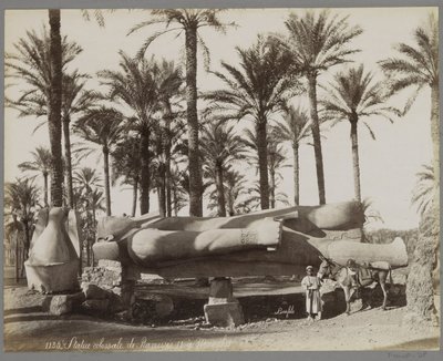 Liggende statue af Ramses II i Memphis, i forgrunden en dreng med et æsel Statue colossal de Ramesses II à Memphis (titel på objekt) af Maison Bonfils
