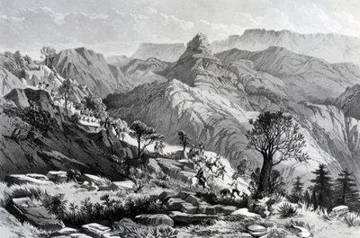På marchen nær Dongolo, indgraveret af James Ferguson, 1868 af Major A.G.F. Hogg