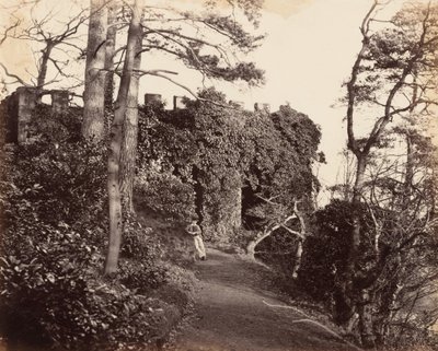 Ved Winterdyne på Severn, 1860