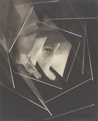 Fly af Man Ray