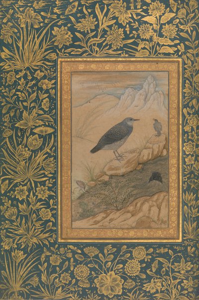 Diving Dipper and Other Birds, Folio fra Shah Jahan Album, recto: ca. 1610-15. af Mansur