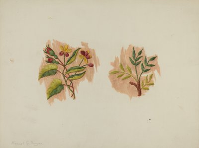 Silke Underkjole Fragment, ca. 1939. af Manuel G. Runyan
