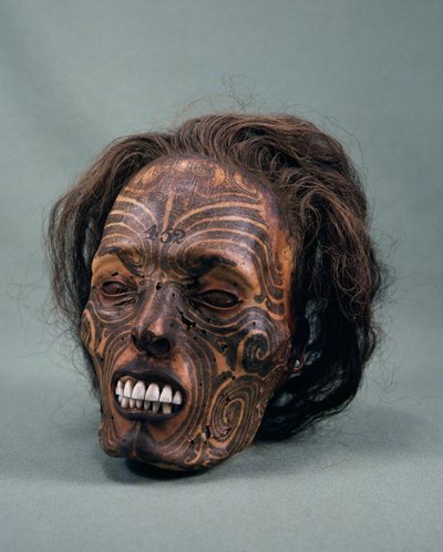 Stammechefens hoved, tatoveret og mumificeret, maori-civilisation af Maori Maori