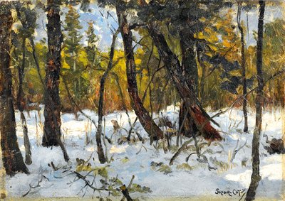 Skov om vinteren (olie på papir lagt om bord) af Marc Aurele de Roy Suzor Cote
