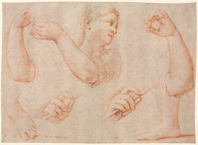 Studie af en ung kvinde, der spiller en tamburin, og studier af en arm, hænder og fødder..., ca. 1711. af Marcantonio Franceschini