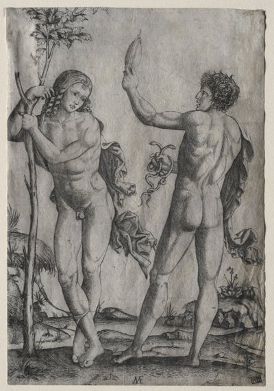To nøgne mænd ved siden af et træ af Marcantonio Raimondi
