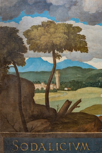 Detalje af byen Vicenza af Marcello Fogolino