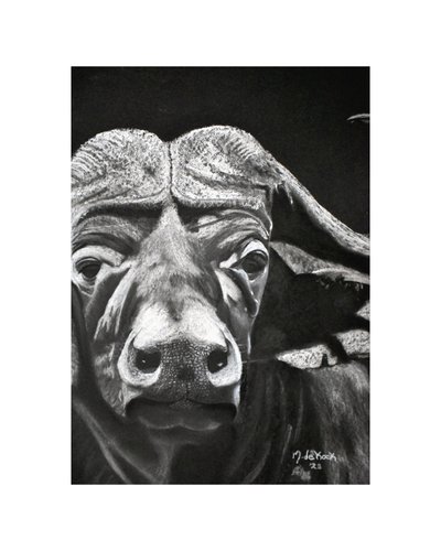 Buffalo af Marchelle de Kock