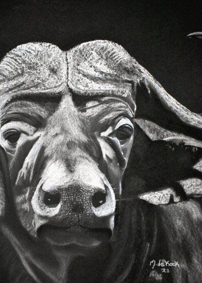 Buffalo af Marchelle de Kock
