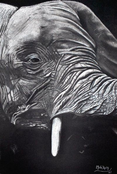 Portræt af en majestætisk elefant af Marchelle de Kock