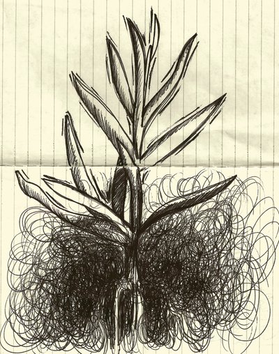 Plant, 2014 (blæk på papir) af Marco Campedelli