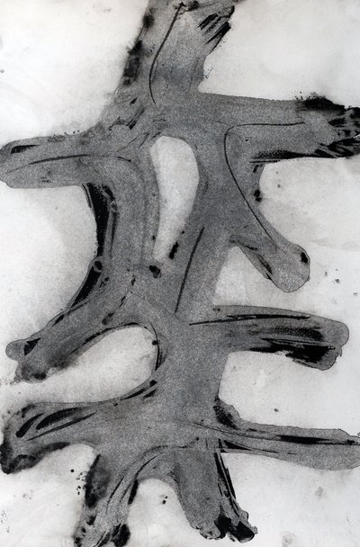 Ramas, 2014 (blæk på papir) af Marco Campedelli