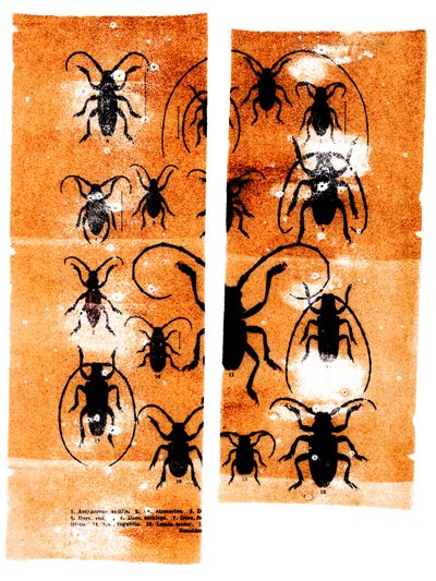 Tørklæder, 2023 (blandede medier) af Marco Campedelli