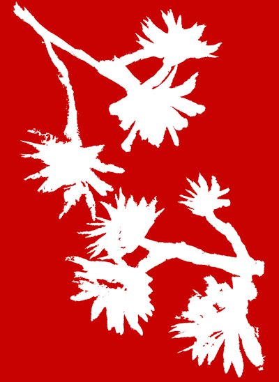 Succulent_1, 2022 (blæk på papir) af Marco Campedelli