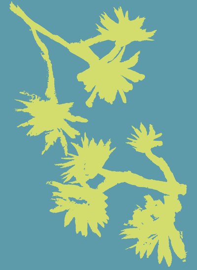 Succulent_2, 2022 (blæk på papir) af Marco Campedelli