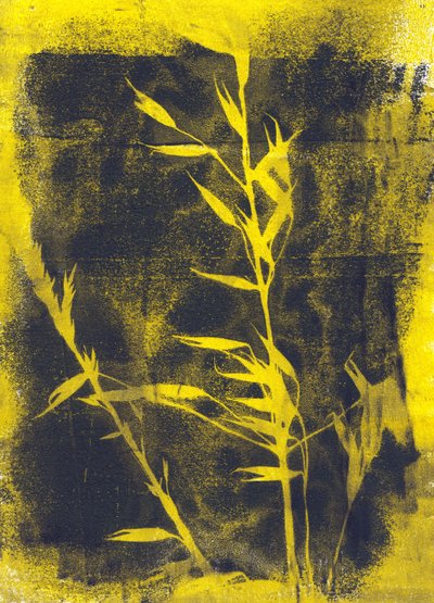 Gule blade, 2024 (monotypi) af Marco Campedelli