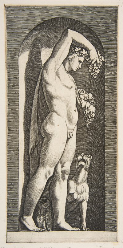 Bacchus stående i en niche med druer i sin løftede højre hånd, frugt i l..., ca. 1515-27. af Marco Dente