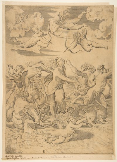 Galatea rider i en skal trukket gennem vandet af delfiner, en amor under og f..., ca. 1515-27. af Marco Dente
