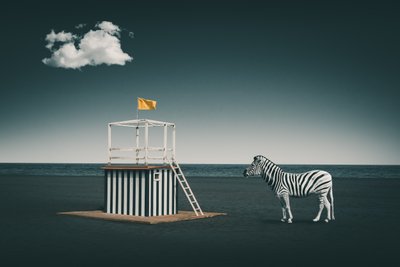 Surrealistisk strandzebra af Marcus Hennen