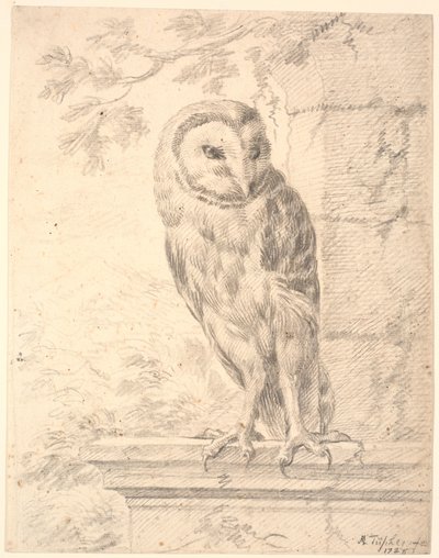 Baron von Stoschs ugle af Marcus Tuscher