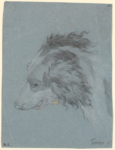 Et hundehoved af Marcus Tuscher