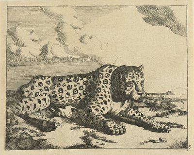 Leopard liggende til højre, poter til beskueren Leoparder (serietitel) af Marcus de Bye
