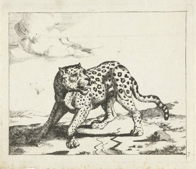 Leopard, stående til venstre, hovedet til højre Leoparder (serietitel) af Marcus de Bye