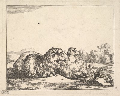 Får, fra et sæt af 16 plader, 1664. af Marcus de Bye