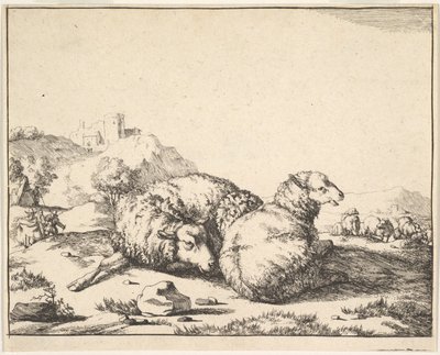 Får, fra et sæt af 16 plader, 1664. af Marcus de Bye