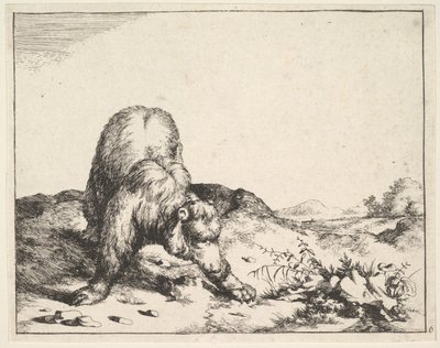 fra The Set of The Bears, ca. 1664. af Marcus de Bye