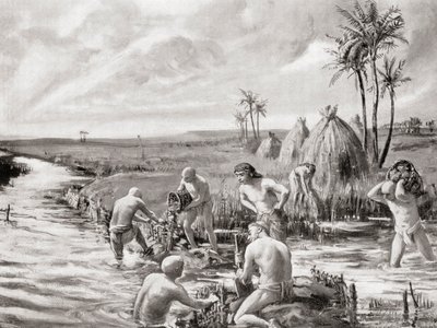 De første nybyggere i Babylonien drænede sumpene ved at bygge en dæmning, fra Hutchinson