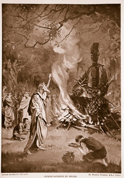 Druidernes menneskeofring, illustration fra 