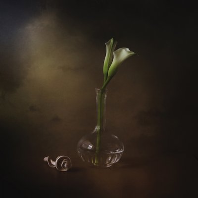 Elegante calla-liljer af Margaret Halaby