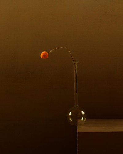 Minimalistisk appelsinblomst af Margaret Halaby